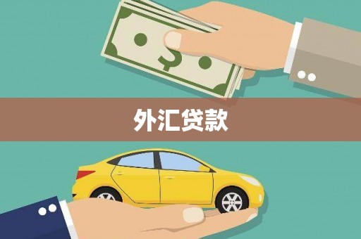 唐县外汇贷款