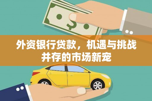 唐县外资银行贷款，机遇与挑战并存的市场新宠