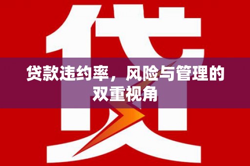 唐县贷款违约率，风险与管理的双重视角