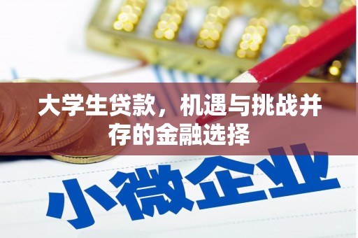 唐县大学生贷款，机遇与挑战并存的金融选择
