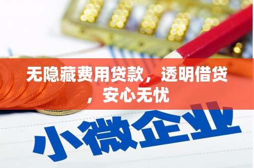 唐县无隐藏费用贷款，透明借贷，安心无忧