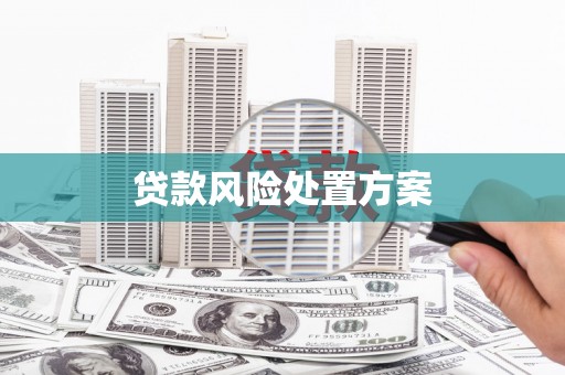 唐县贷款风险处置方案