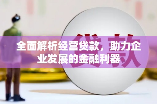 唐县全面解析经营贷款，助力企业发展的金融利器