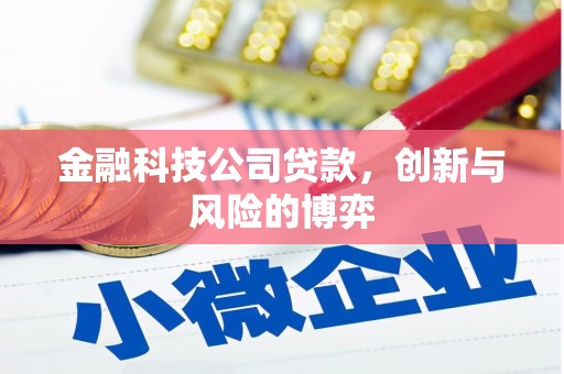 唐县金融科技公司贷款，创新与风险的博弈
