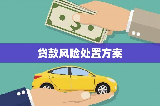 唐县贷款风险处置方案