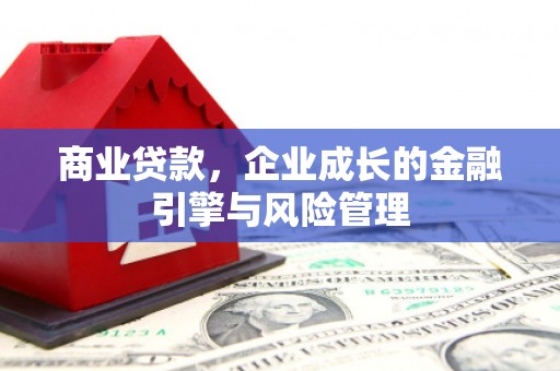 唐县商业贷款，企业成长的金融引擎与风险管理