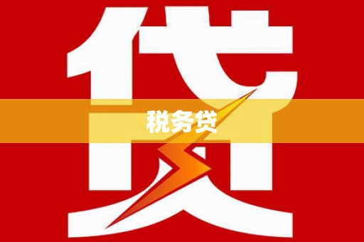 唐县税务贷
