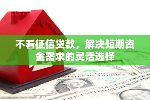 唐县不看征信贷款，解决短期资金需求的灵活选择