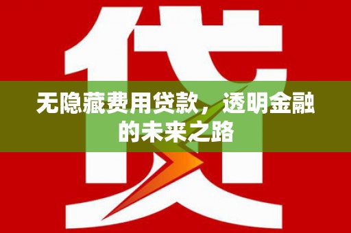 唐县无隐藏费用贷款，透明金融的未来之路