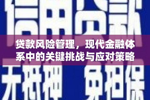 唐县贷款风险管理，现代金融体系中的关键挑战与应对策略