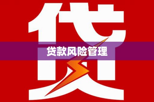 唐县贷款风险管理