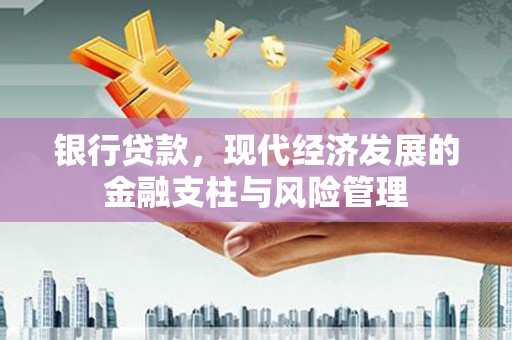 唐县银行贷款，现代经济发展的金融支柱与风险管理