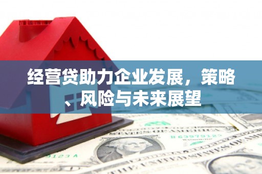 唐县经营贷助力企业发展，策略、风险与未来展望