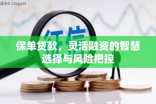 唐县保单贷款，灵活融资的智慧选择与风险把控