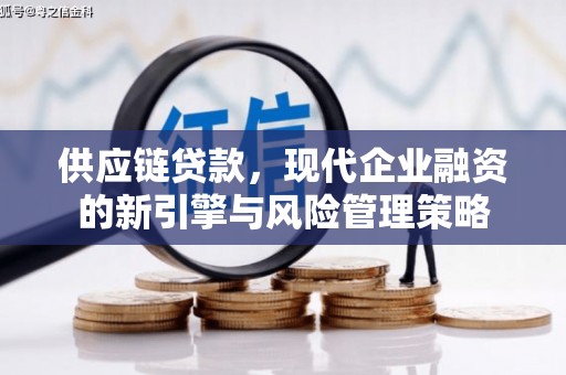 唐县供应链贷款，现代企业融资的新引擎与风险管理策略