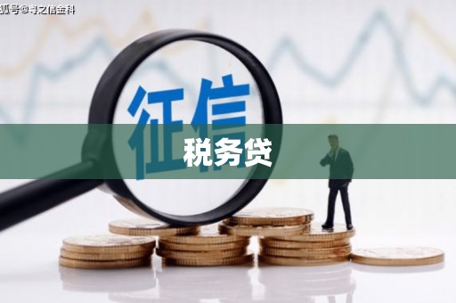 唐县税务贷