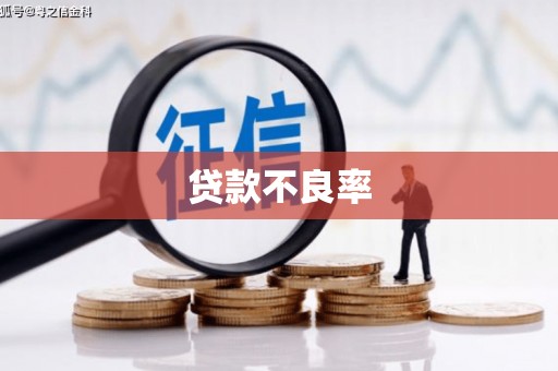 唐县贷款不良率