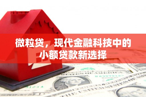 唐县微粒贷，现代金融科技中的小额贷款新选择