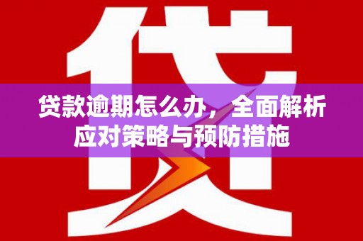 唐县贷款逾期怎么办，全面解析应对策略与预防措施