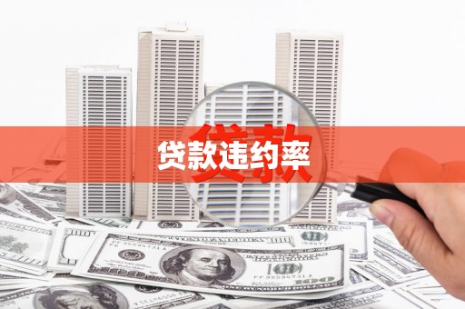 唐县贷款违约率