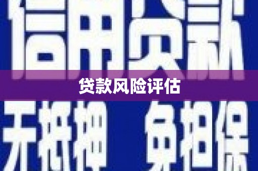 唐县贷款风险评估