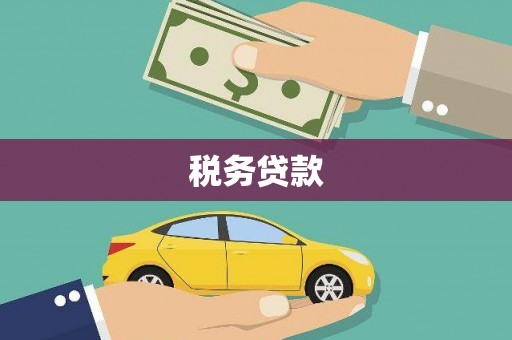 唐县税务贷款
