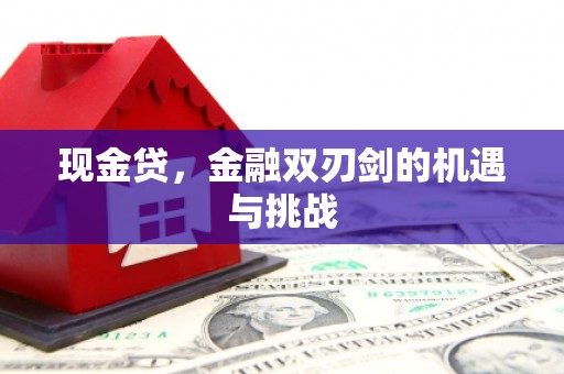唐县现金贷，金融双刃剑的机遇与挑战