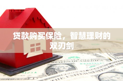 唐县贷款购买保险，智慧理财的双刃剑