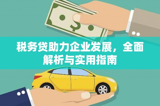 唐县税务贷助力企业发展，全面解析与实用指南