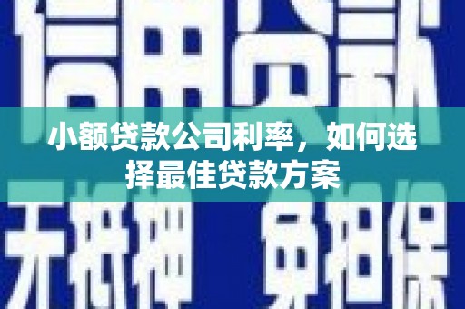 唐县小额贷款公司利率，如何选择最佳贷款方案