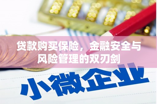 唐县贷款购买保险，金融安全与风险管理的双刃剑