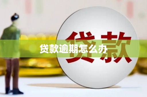 唐县贷款逾期怎么办