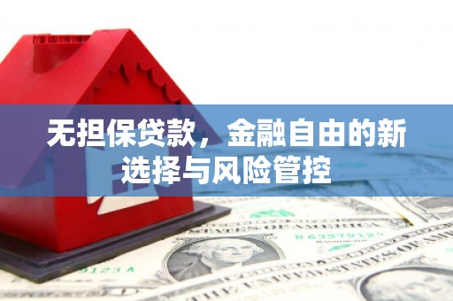 唐县无担保贷款，金融自由的新选择与风险管控