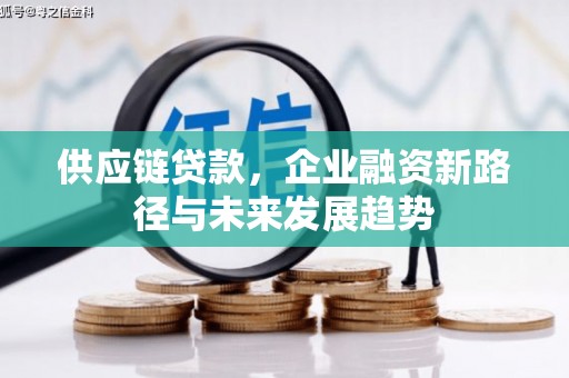 唐县供应链贷款，企业融资新路径与未来发展趋势