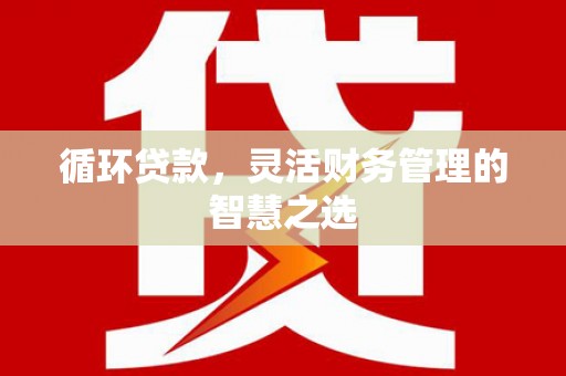 唐县循环贷款，灵活财务管理的智慧之选