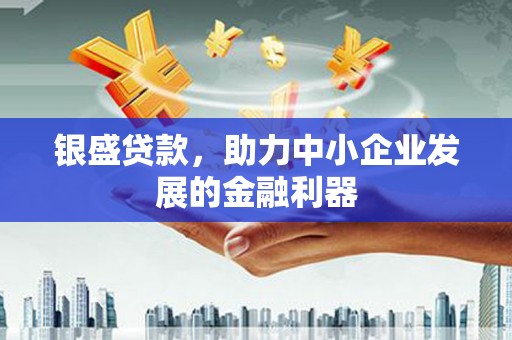 唐县银盛贷款，助力中小企业发展的金融利器