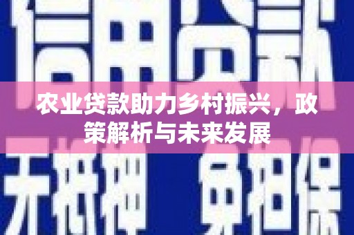 唐县农业贷款助力乡村振兴，政策解析与未来发展