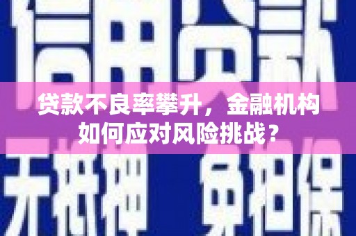 唐县贷款不良率攀升，金融机构如何应对风险挑战？