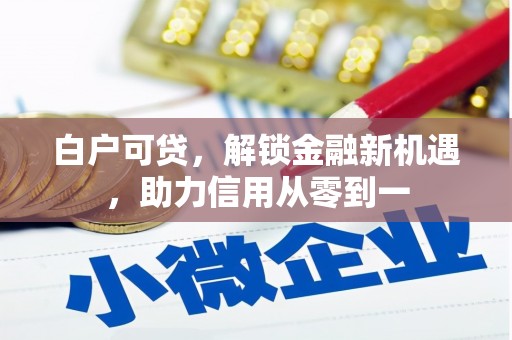唐县白户可贷，解锁金融新机遇，助力信用从零到一