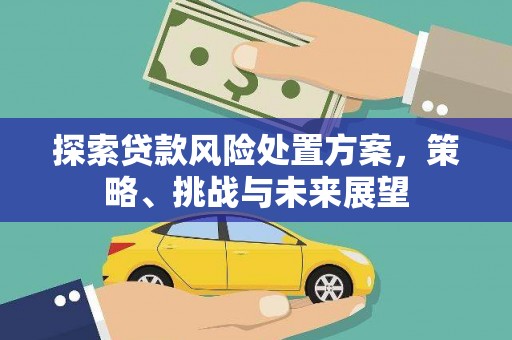 唐县探索贷款风险处置方案，策略、挑战与未来展望