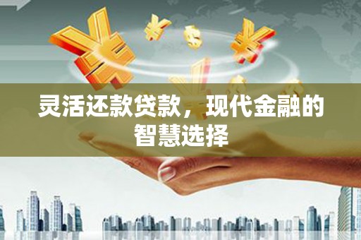 唐县灵活还款贷款，现代金融的智慧选择