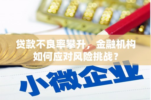 唐县贷款不良率攀升，金融机构如何应对风险挑战？