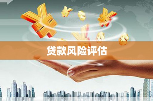 唐县贷款风险评估
