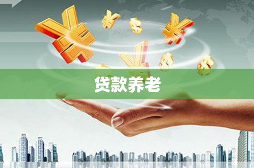 唐县贷款养老