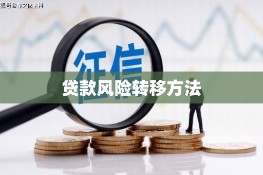 唐县贷款风险转移方法