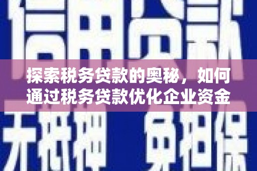 唐县探索税务贷款的奥秘，如何通过税务贷款优化企业资金流