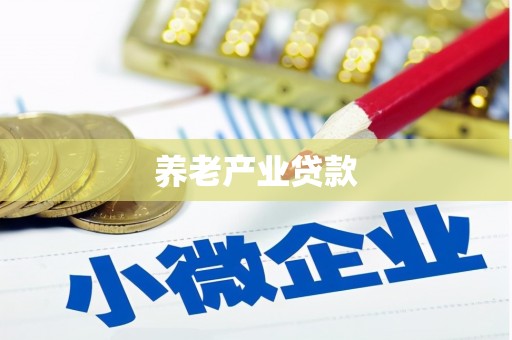 唐县养老产业贷款