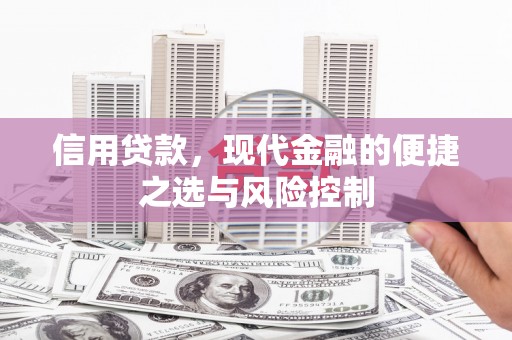 唐县信用贷款，现代金融的便捷之选与风险控制