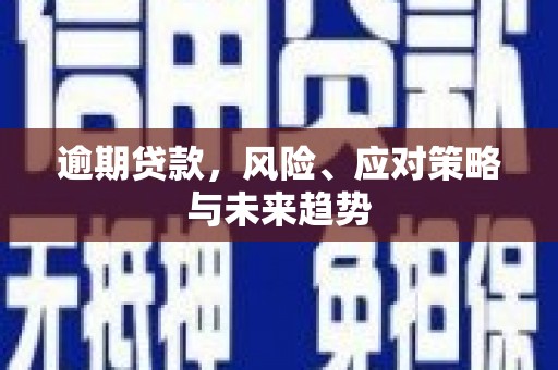 唐县逾期贷款，风险、应对策略与未来趋势