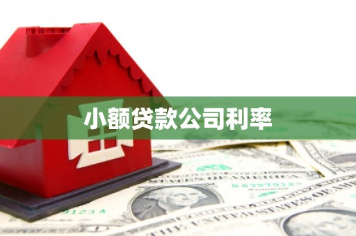 唐县小额贷款公司利率